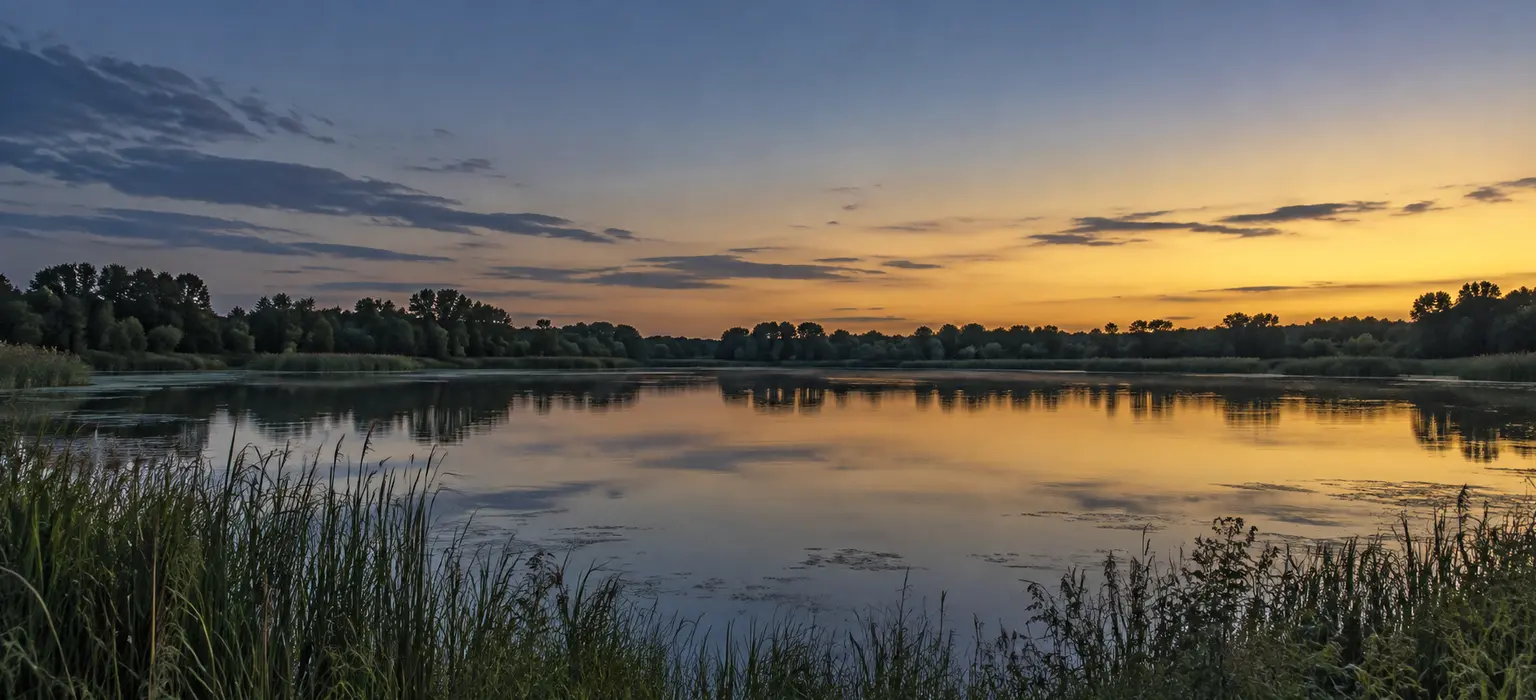 Still water and prairie grasses beneath a quiet evening sky
